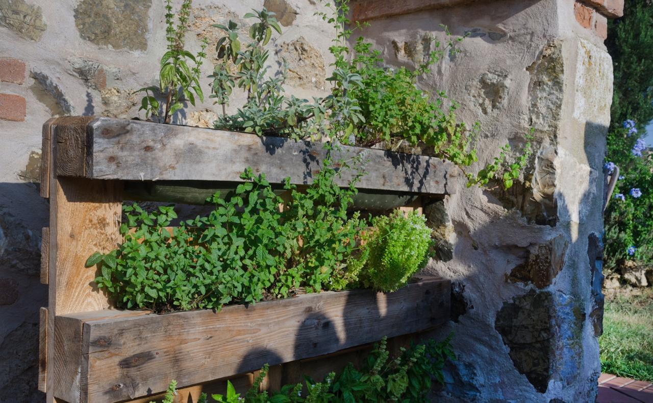 Dojo Bianco Bed and Breakfast Massa Marittima Buitenkant foto